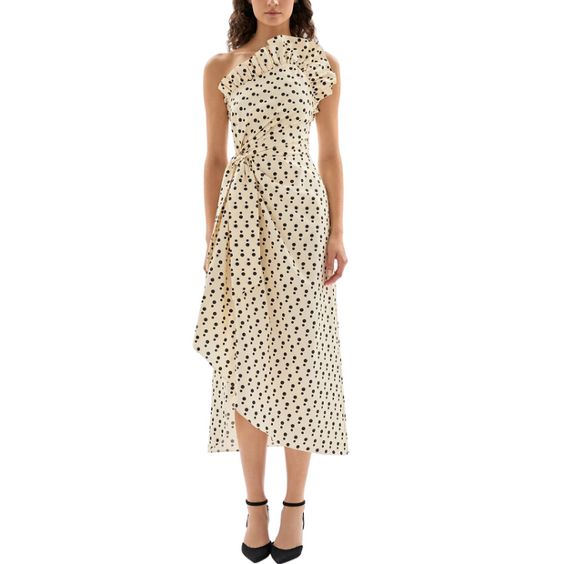 Charlotte Dot Dress