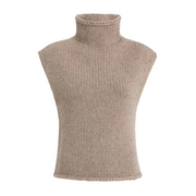 Sly Turtleneck Vest