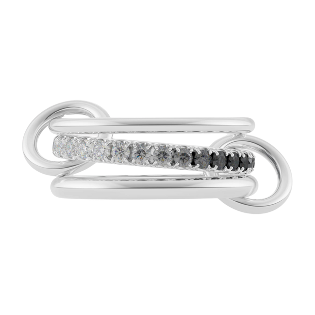 Petunia Silver Noir Ombre