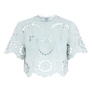 Embroidered Bodice