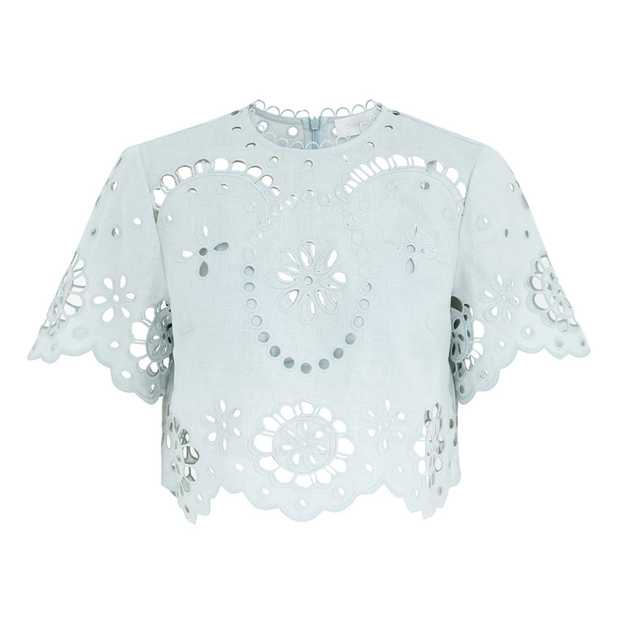 Embroidered Bodice