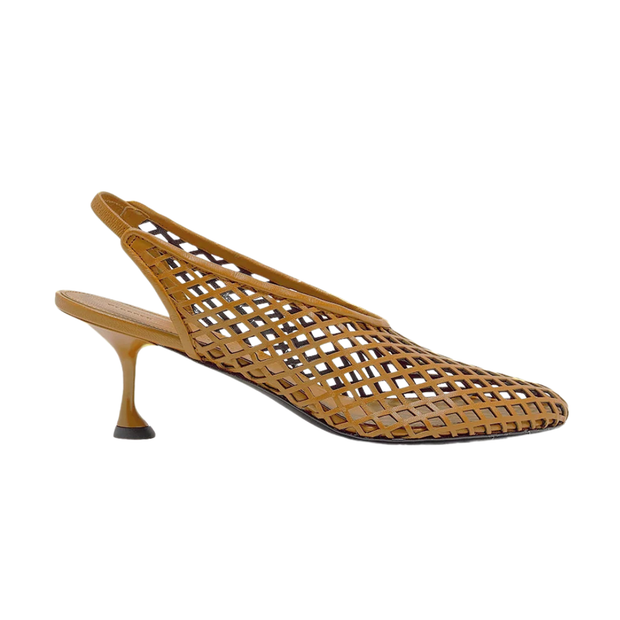 Tee Perforated Pumps in Mud