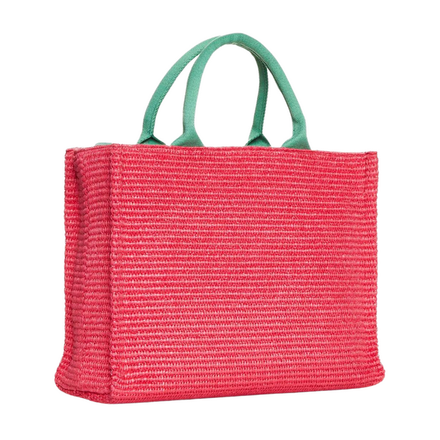 Small Watermelon Basket Bag