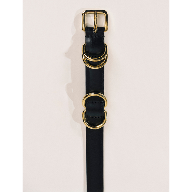 Black & Gold Constance Belt
