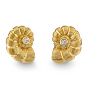 Large Nautilus Earrings